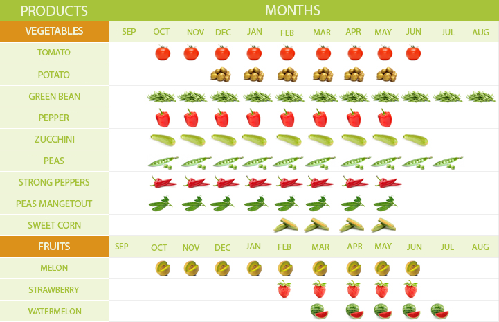 Fruits & Vegetables