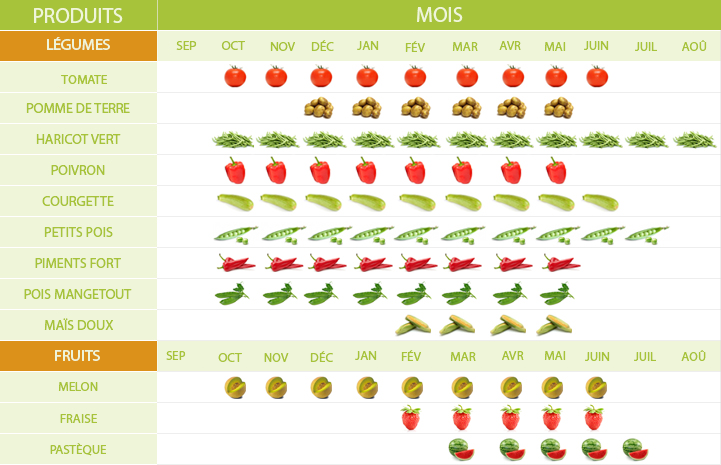 fruits & legumes